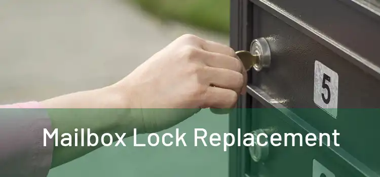  Mailbox Lock Replacement 